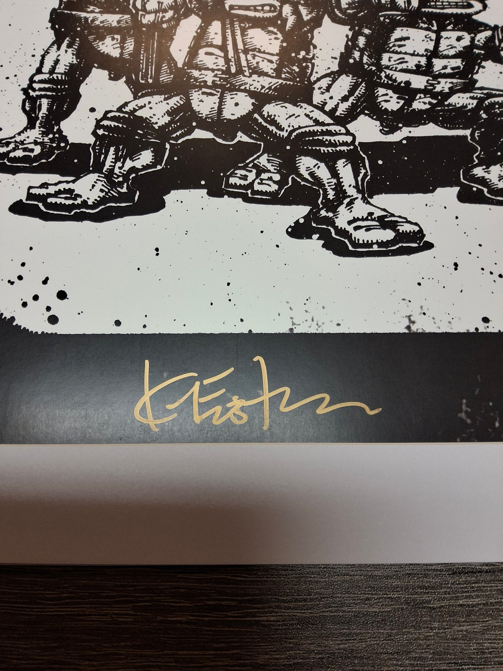 2014 Turtle Power DVD Release Poster Signed by Kevin Eastman