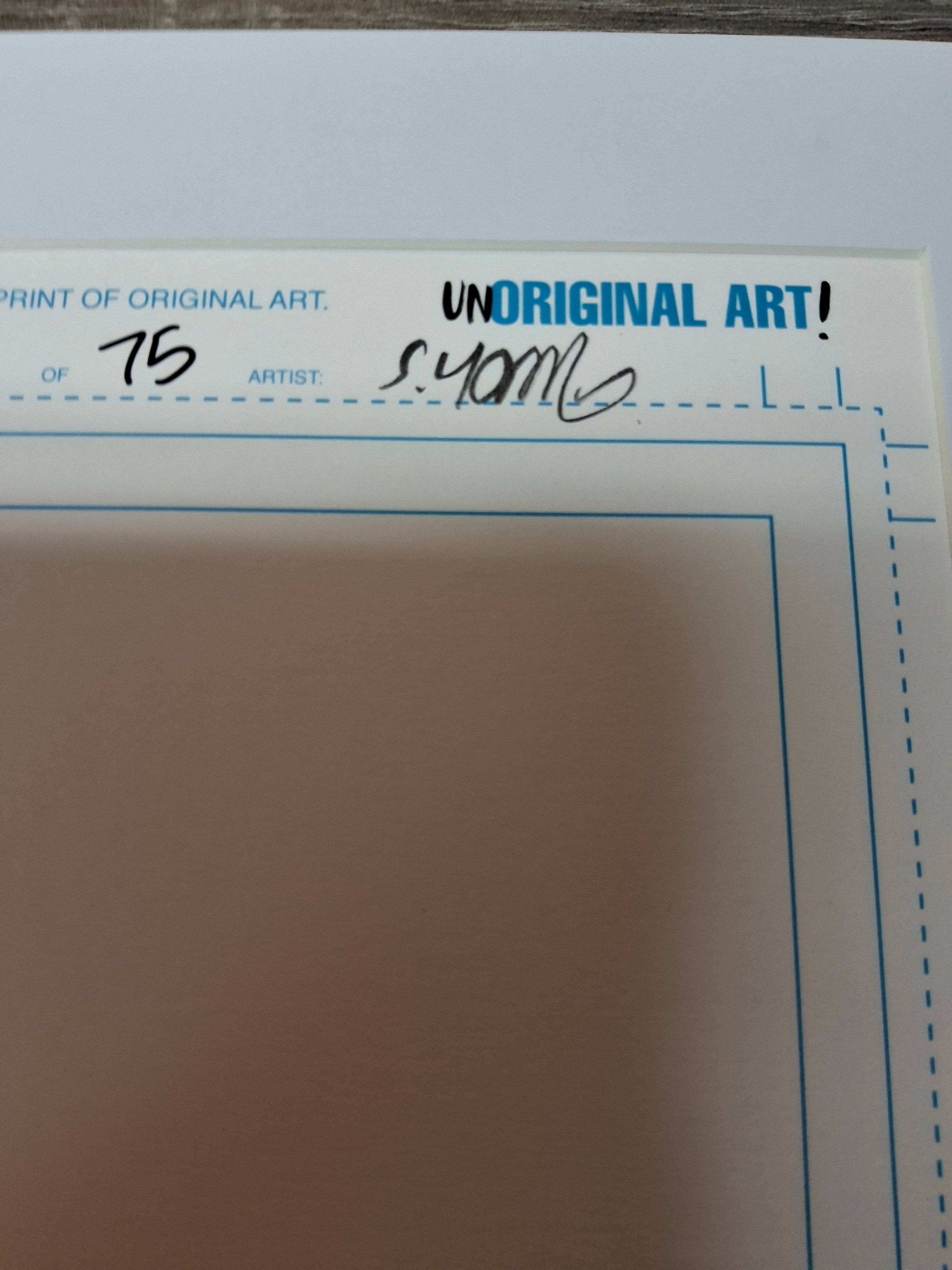 UnORIGINAL ART! Teenage Mutant Ninja Turtles #1 Signed by Skottie Young and Numbered #16/75