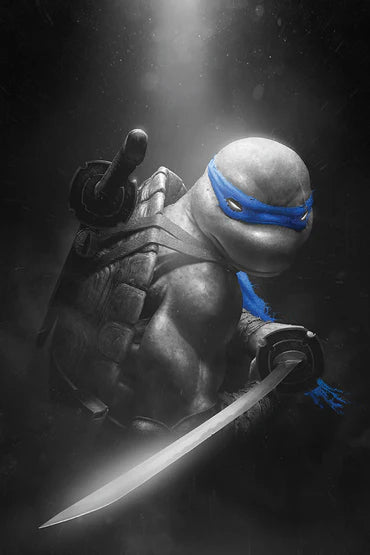 Teenage Mutant Ninja Turtles (2024) #3 Rahzzah 616 Exclusive Virgin Variant B LTD 600 - IDW Comics
