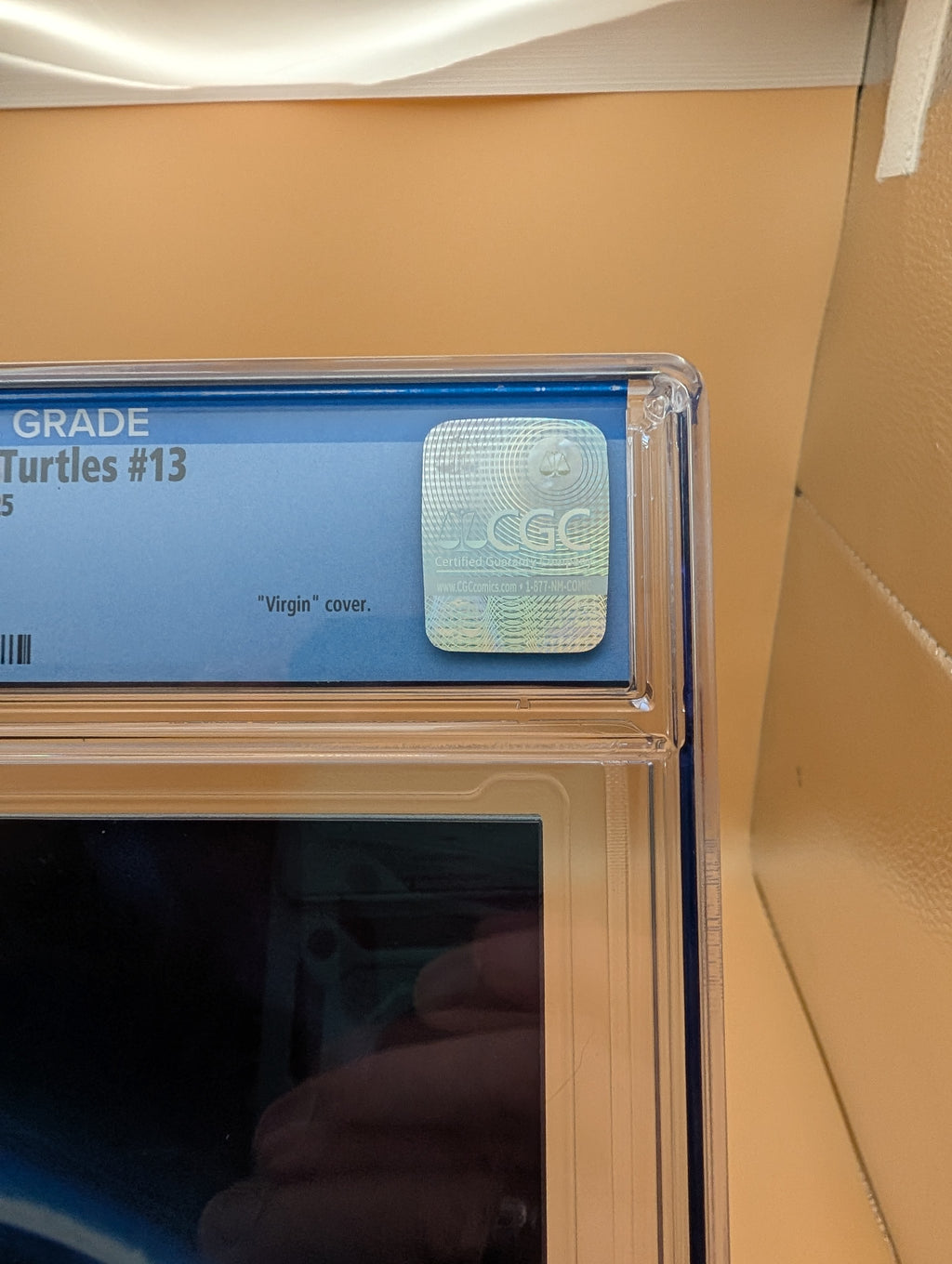TMNT #13 (IDW 2025) Blind Bag Ratio 1:100 Rahzzah Virgin Variant CGC graded 9.6