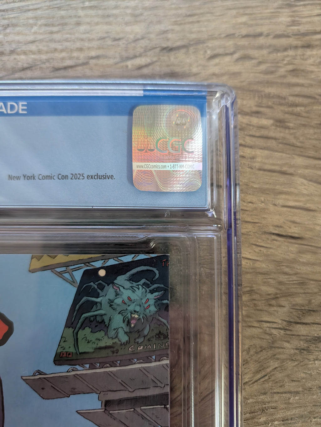 Street Sharks #1 NYCC Exclusive + IDW Exclusive Variant CGC Graded 9.0 / 9.8 - IDW Publishing