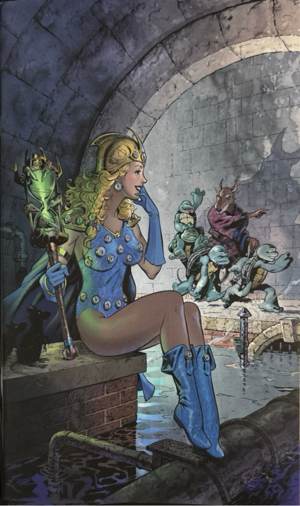 Teenage Mutant Ninja Turtles #20 Michael Dooney Virgin Variant