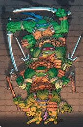 Teenage Mutant Ninja Turtles #20 Frank Miller Blind Bag Virgin Variant